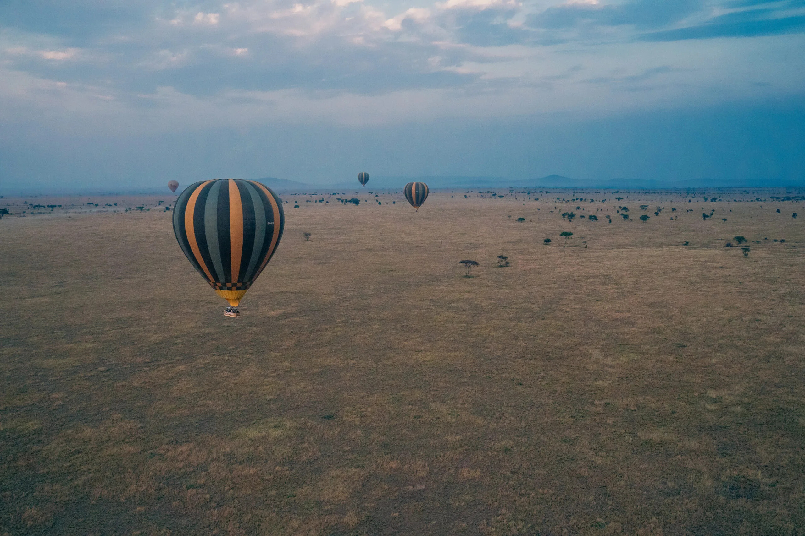 Hot-air balloons above the plains of the Serengeti