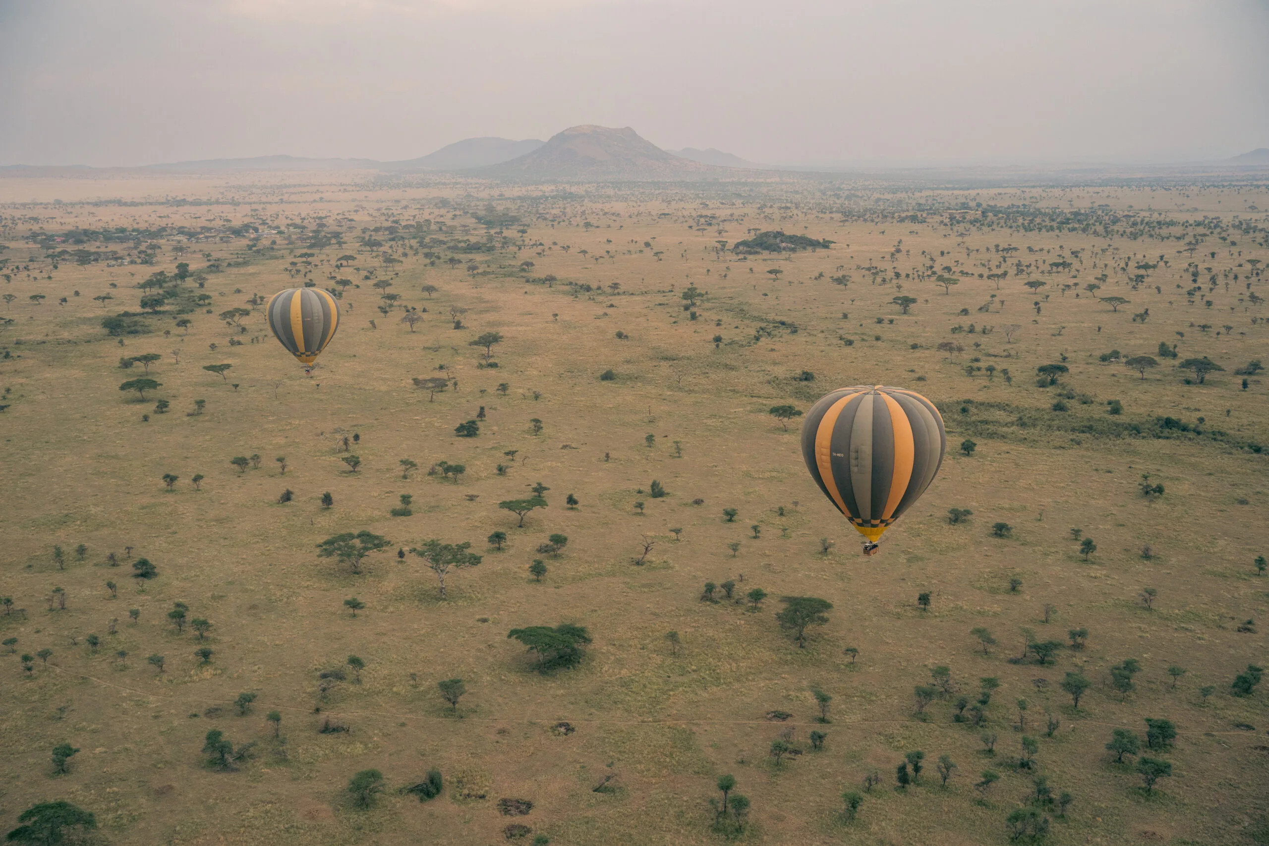 Hot-air balloon above the Serengeti