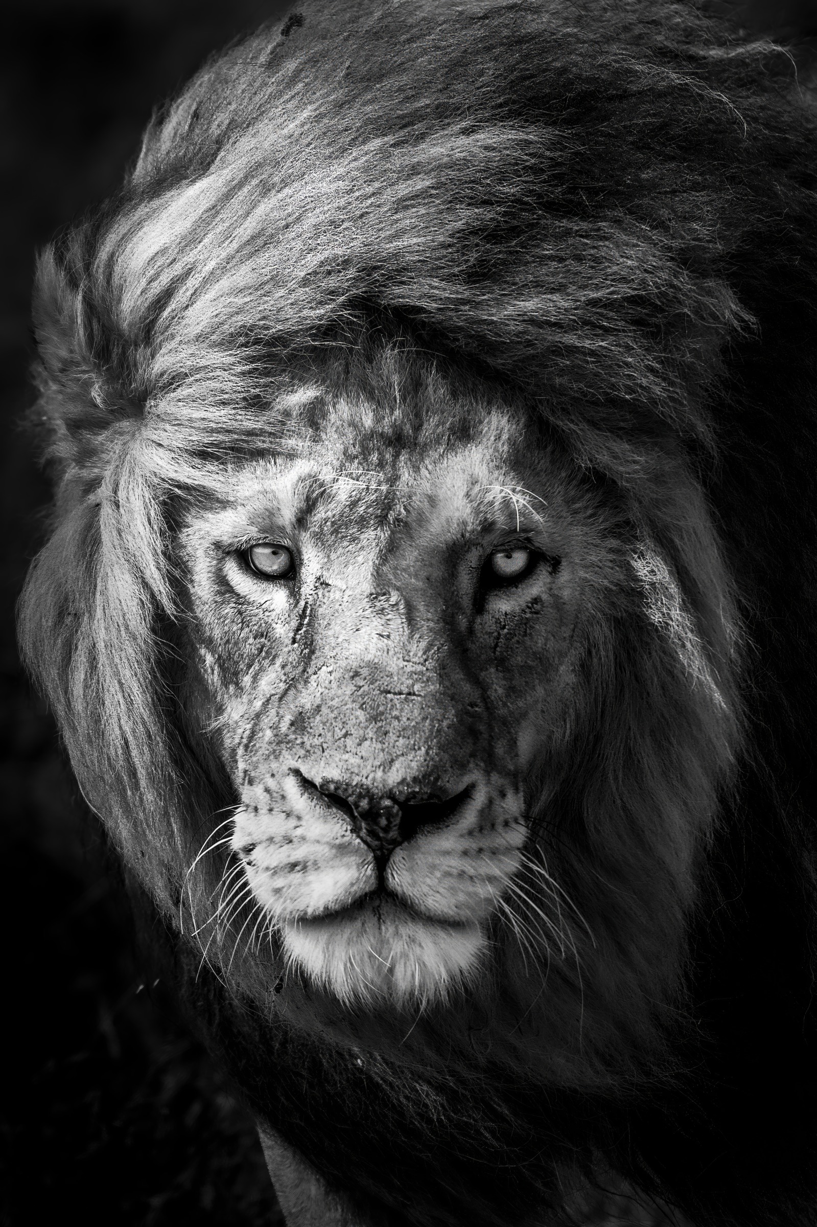 The Price of the Crown