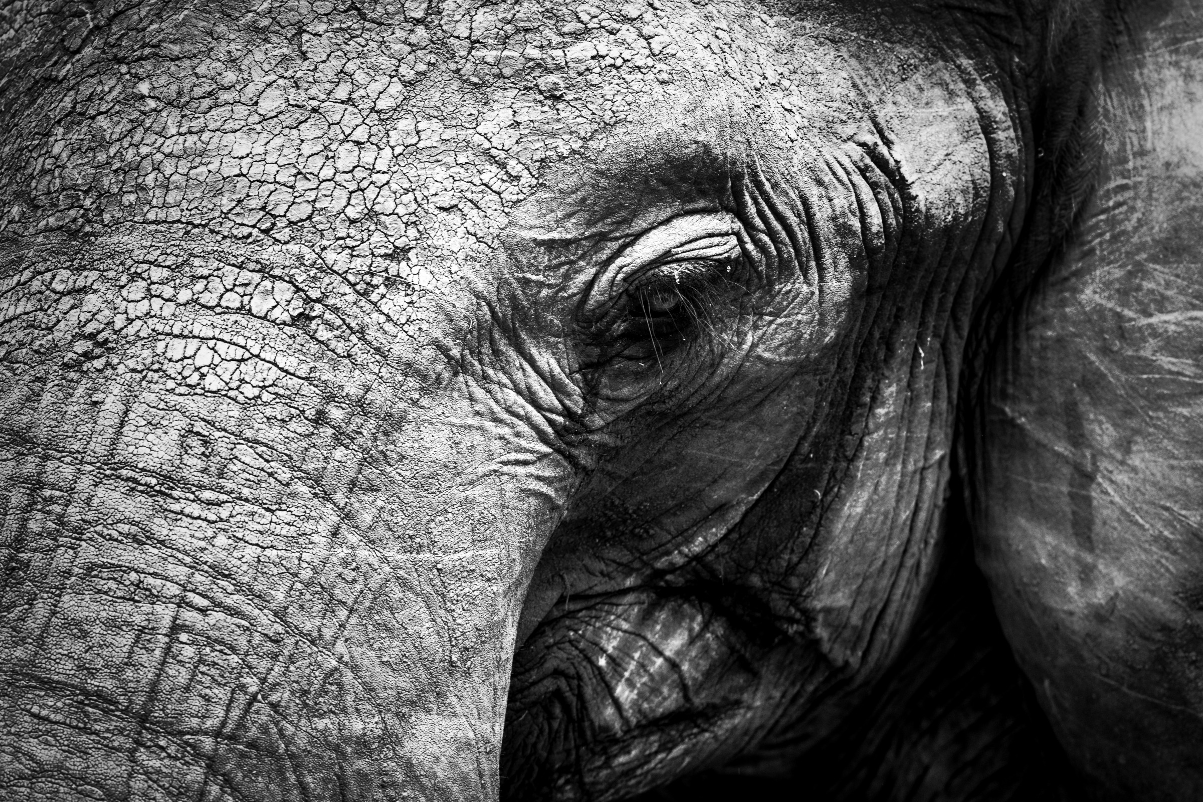 The Eye of Tarangire